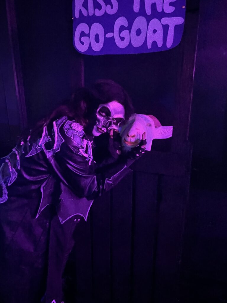 Album cover for “Clio”