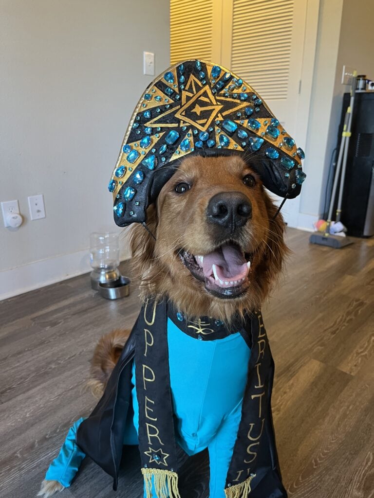 Album cover for “Pupper Emeritus”